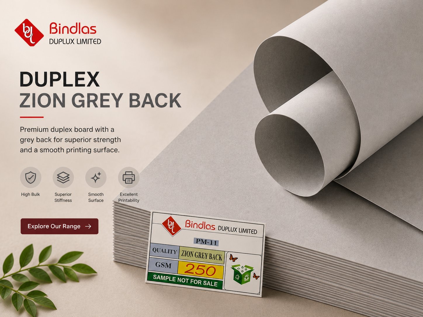 Zion Grey Back Duplex Board